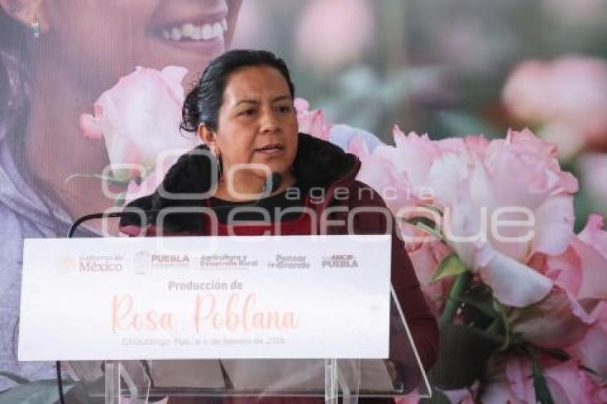 PRODUCCIÓN ROSA POBLANA