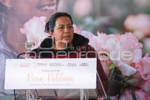 PRODUCCIÓN ROSA POBLANA