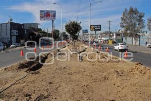 OBRA . PASEO DE LAS Y LOS CAMPEONES