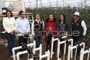 PRODUCCIÓN ROSA POBLANA