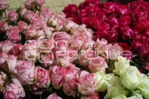 PRODUCCIÓN ROSA POBLANA