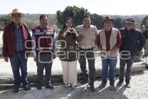 ENTREGA ÁRBOLES NAVIDAD