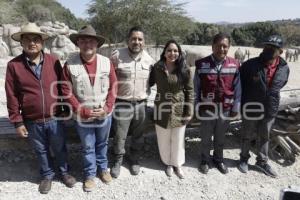 ENTREGA ÁRBOLES NAVIDAD