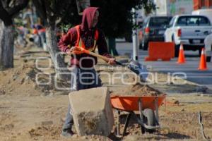 OBRA . PASEO DE LAS Y LOS CAMPEONES