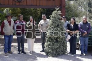 ENTREGA ÁRBOLES NAVIDAD