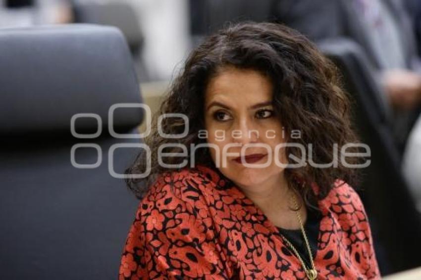 CONGRESO . SESIÓN ORDINARIA