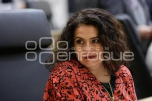 CONGRESO . SESIÓN ORDINARIA