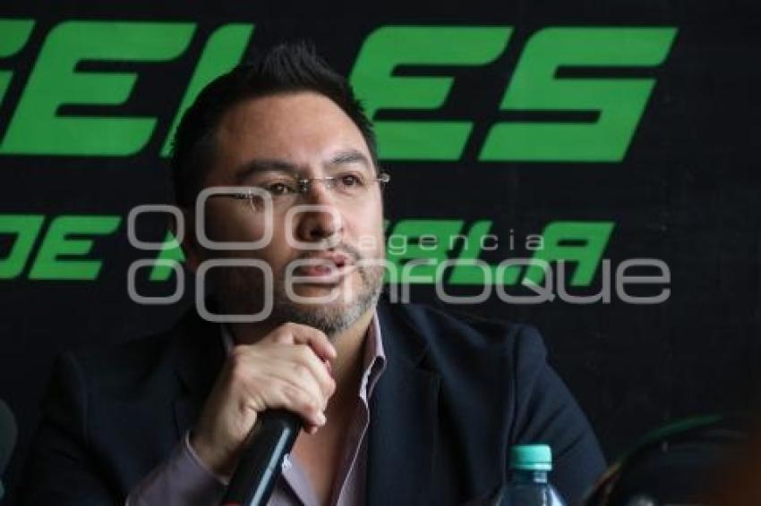 ARCÁNGELES DE PUEBLA . FRANCISCO MAYORAL