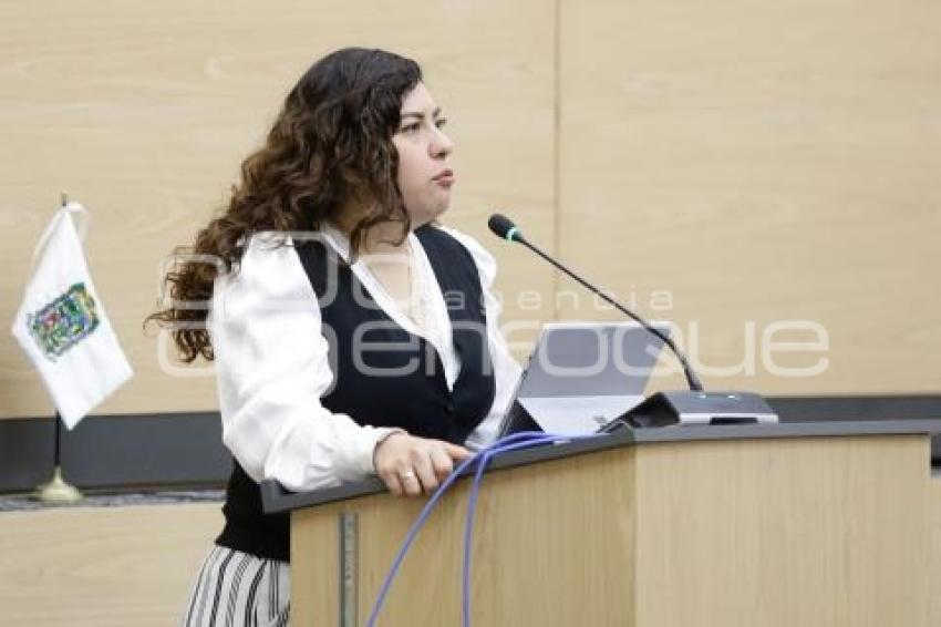 CONGRESO . SESIÓN ORDINARIA