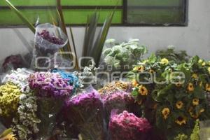 TLAXCALA . FLORES SAN VALENTÍN