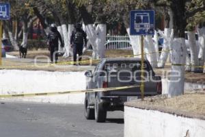 TEXMELUCAN . CADÁVER EN CAMIONETA