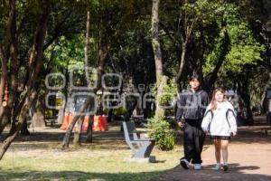 PARQUE JUÁREZ . CABLEBÚS