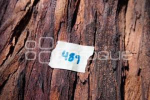 PARQUE JUÁREZ . CABLEBÚS