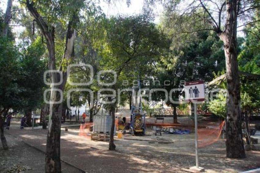 CABLEBÚS . ÁRBOLES