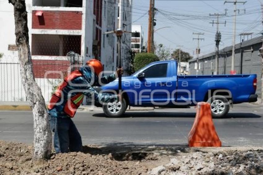 OBRA . PASEO DE LAS Y LOS CAMPEONES