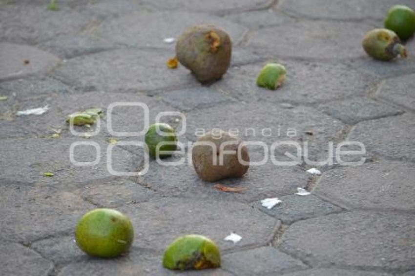 HUAQUECHULA . CARNAVAL SAN JUAN HUILUCO