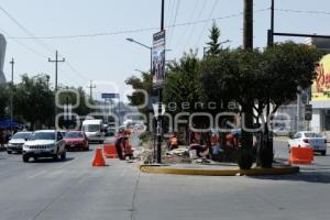 OBRA . PASEO DE LAS Y LOS CAMPEONES