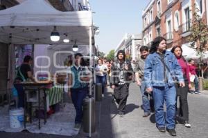 MIÉRCOLES DE CENIZA . VENDIMIA