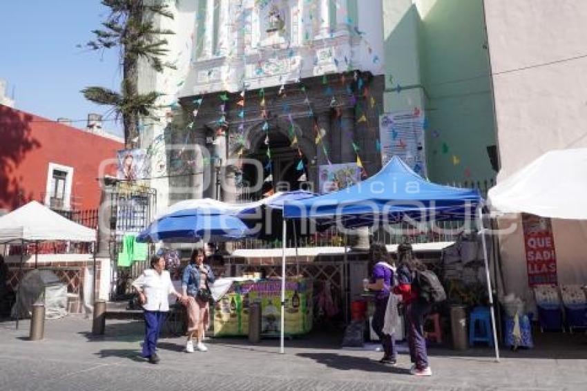 MIÉRCOLES DE CENIZA . VENDIMIA