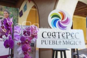 VERACRUZ . FESTIVAL DE LA ORQUÍDEA