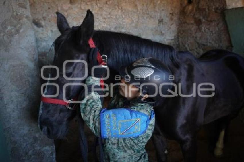 TLAXCALA . DÍA EJÉRCITO MEXICANO