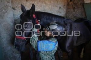 TLAXCALA . DÍA EJÉRCITO MEXICANO