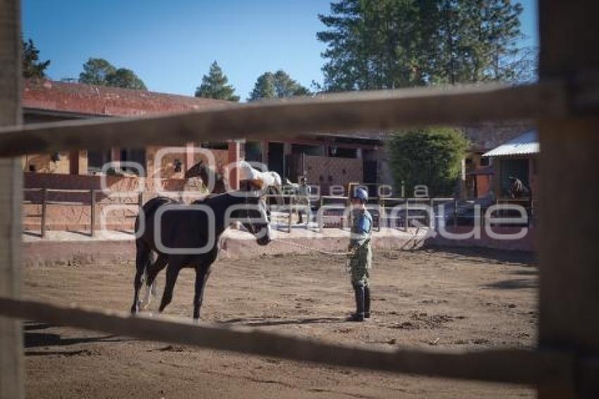 TLAXCALA . DÍA EJÉRCITO MEXICANO
