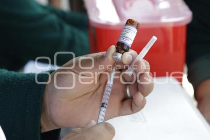 VACUNACIÓN SARAMPIÓN