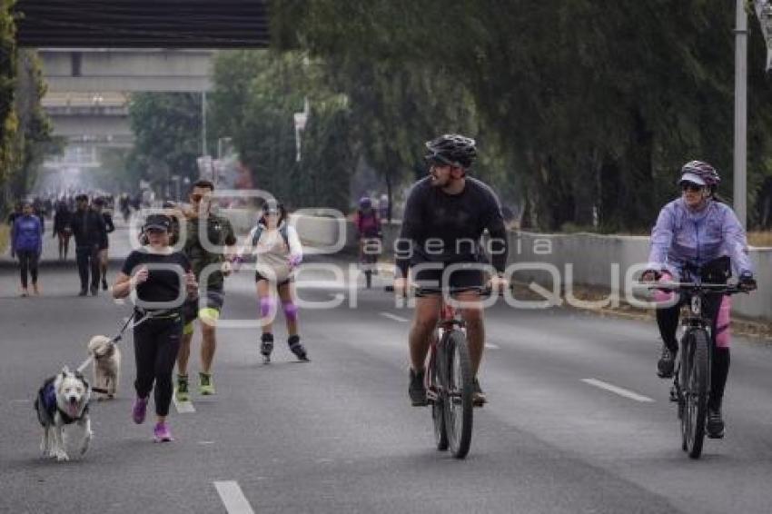 VÍA RECREATIVA METROPOLITANA