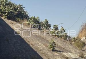 CADÁVER . PERIFÉRICO ECOLÓGICO