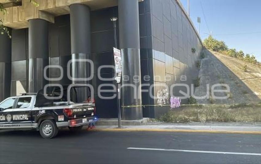 CADÁVER . PERIFÉRICO ECOLÓGICO