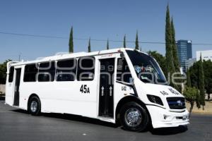 RUTA 45A . CÚMULO DE VIRGO