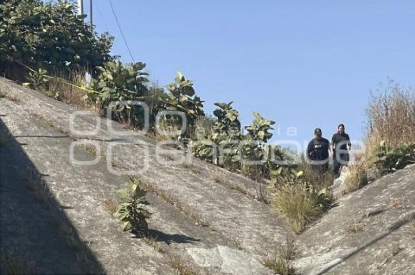 CADÁVER . PERIFÉRICO ECOLÓGICO