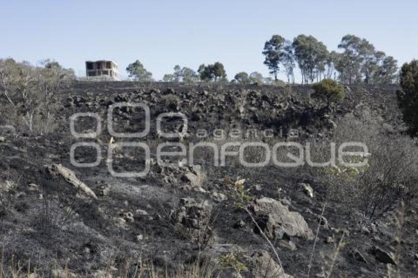 INCENDIO . CERRO ZAPOTECAS 