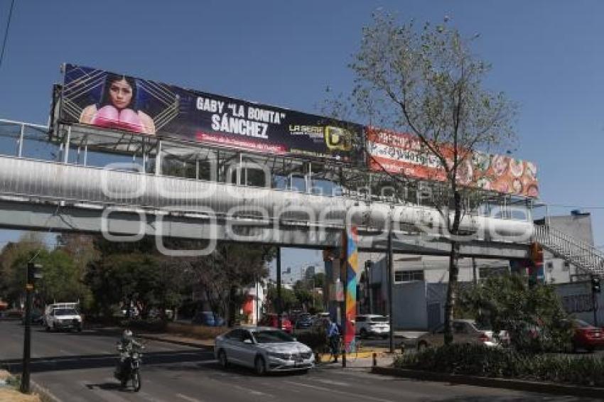 PUBLICIDAD PELEA GABRIELA SÁNCHEZ