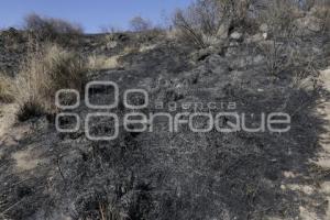 INCENDIO . CERRO ZAPOTECAS 