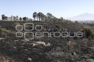 INCENDIO . CERRO ZAPOTECAS 