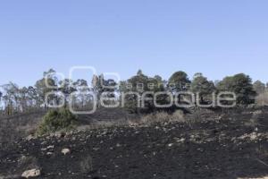 INCENDIO . CERRO ZAPOTECAS 