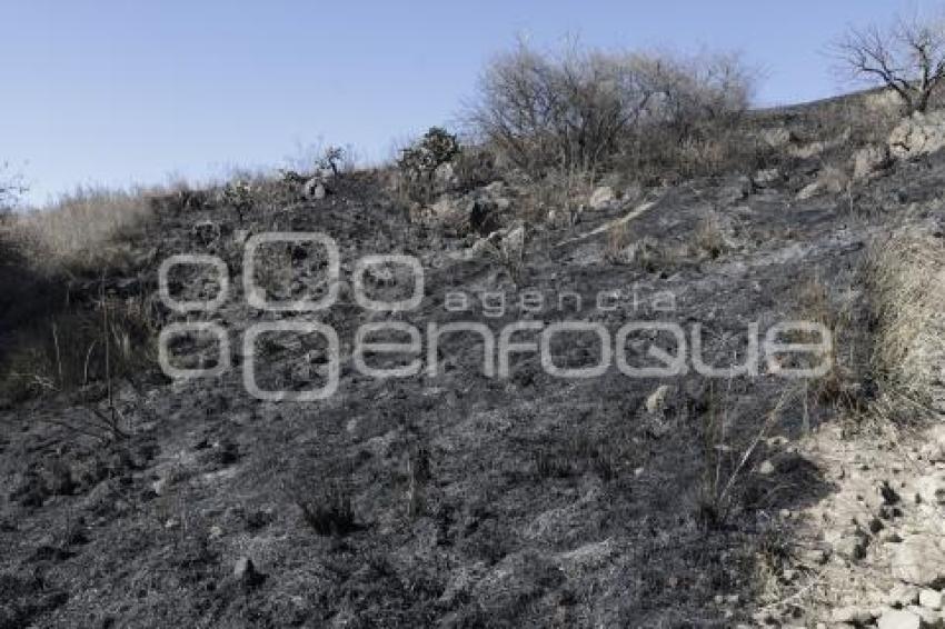 INCENDIO . CERRO ZAPOTECAS 