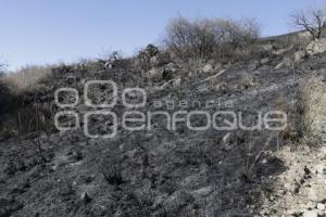 INCENDIO . CERRO ZAPOTECAS 