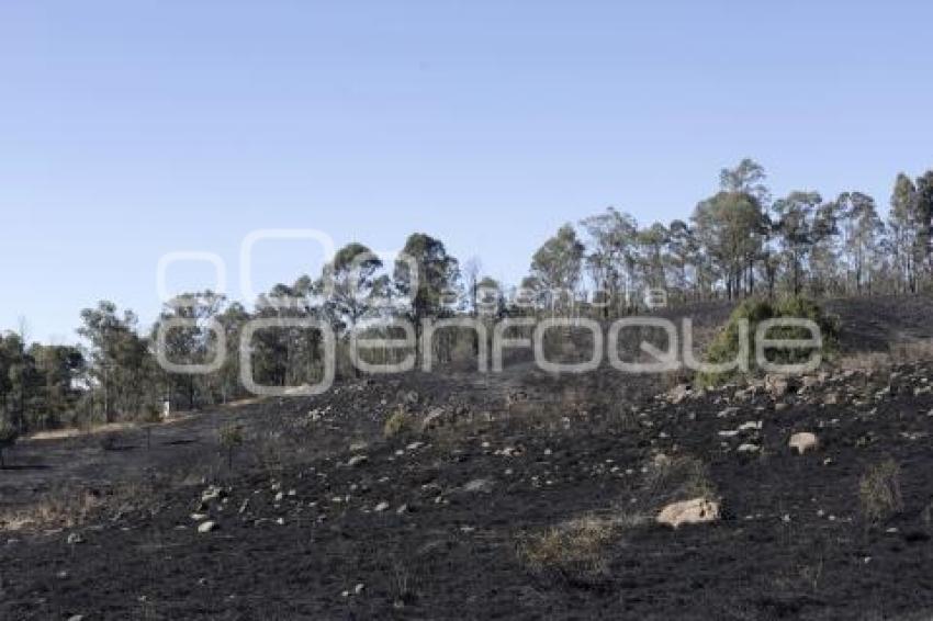 INCENDIO . CERRO ZAPOTECAS 
