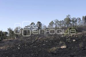 INCENDIO . CERRO ZAPOTECAS 