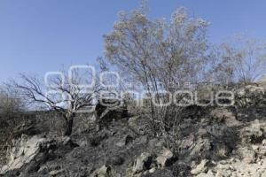 INCENDIO . CERRO ZAPOTECAS 