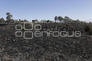 INCENDIO . CERRO ZAPOTECAS 