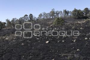 INCENDIO . CERRO ZAPOTECAS 