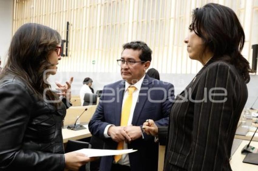 CONGRESO . SESIÓN ORDINARIA