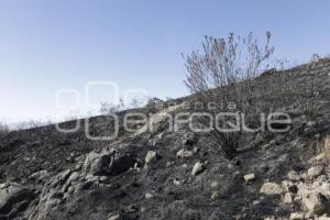 INCENDIO . CERRO ZAPOTECAS 