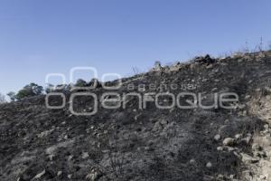 INCENDIO . CERRO ZAPOTECAS 