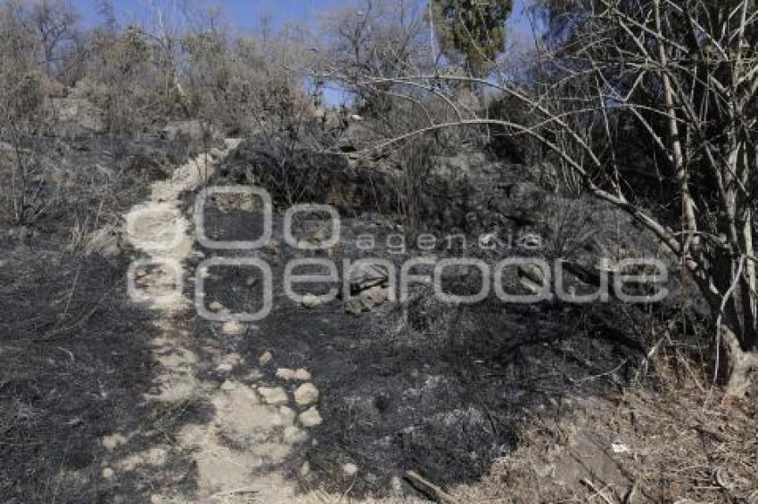 INCENDIO . CERRO ZAPOTECAS 