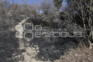 INCENDIO . CERRO ZAPOTECAS 